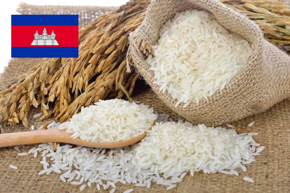 Cambodia Targets 60,000-Tonne Rice Exports to Philippines via Direct Route