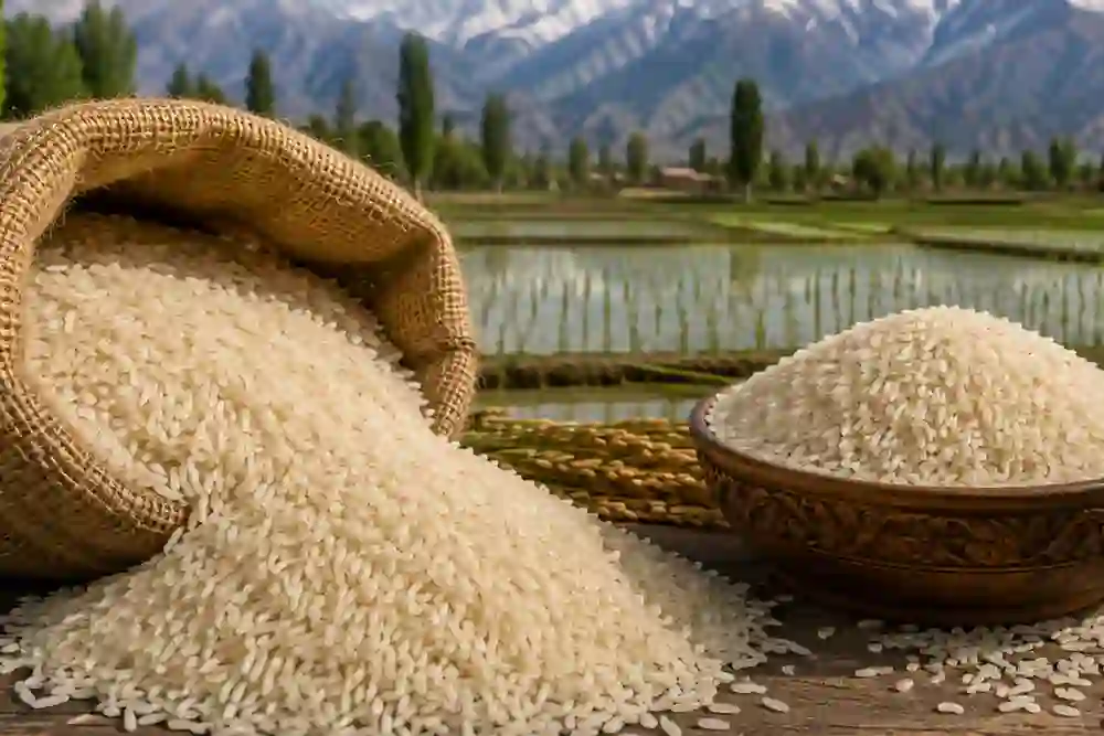 Kashmir’s Famous Mushk Budji Rice Faces Massive Price Crash