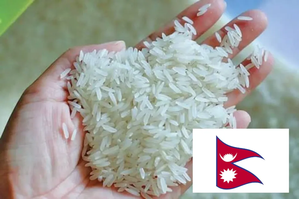Nepal Pushes Rice Mechanisation. But Why ?