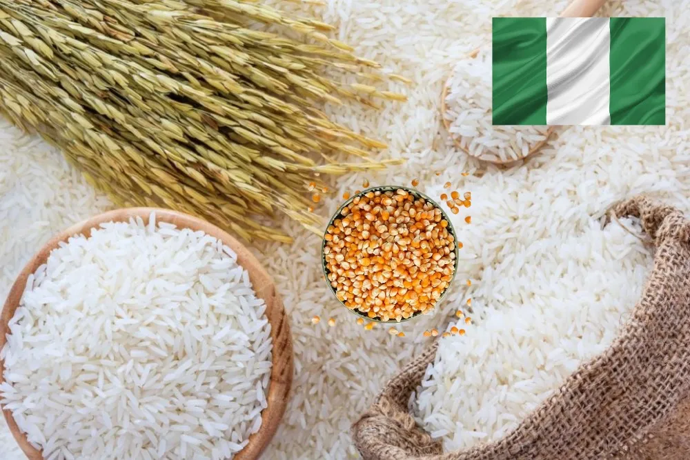 Nigeria Witnesses Lower Grain Production Amid Rising Demand