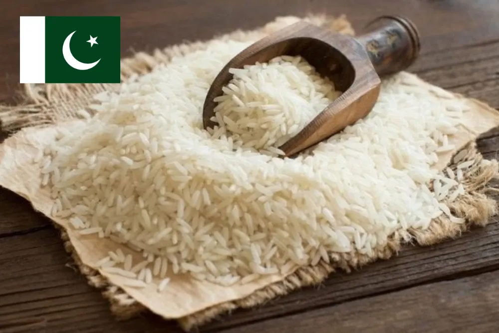 Pakistani Rice Exporters Face Indian Tougher Competition in Saudi Market