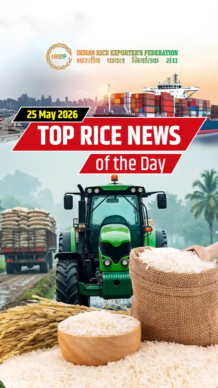 News About Rice Rice News: Telangana Procurement & Myanmar Exports | IREF