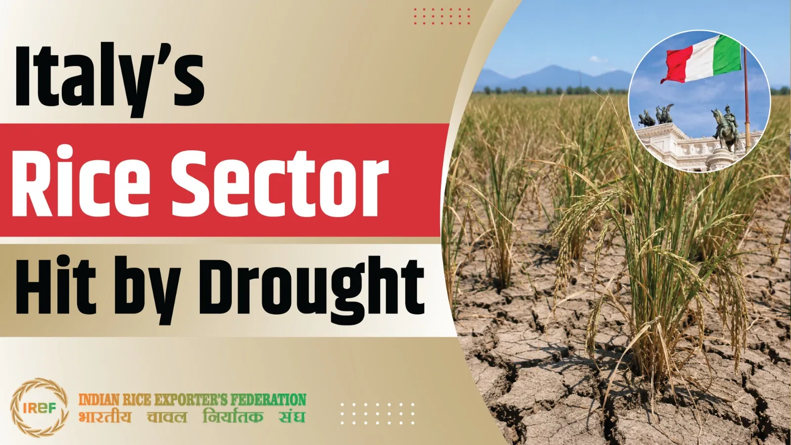 What Happened to Italy’s Rice Sector Amid Severe Drought?