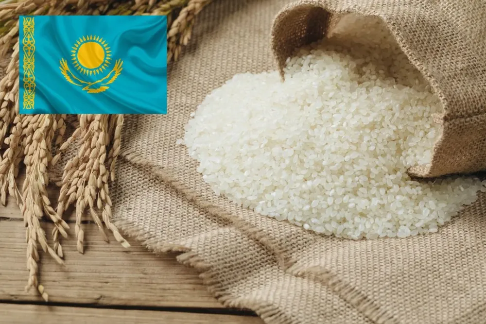What Is Kazakhstan’s Strategy For Its Sudden Rice Exports Expansion?