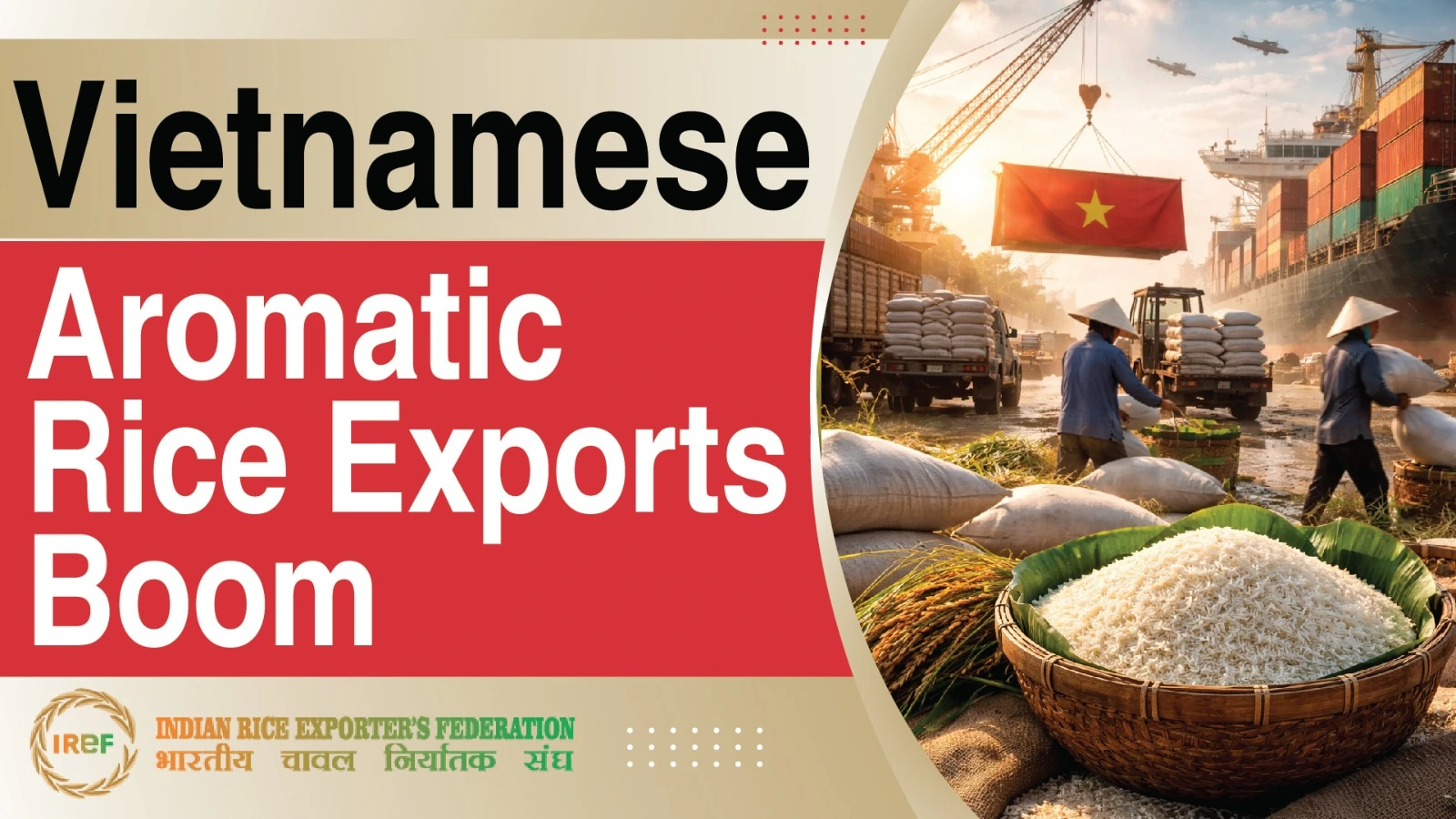 Vietnamese Aromatic Rice Exports Continue to Rise Amid EU Market Growth