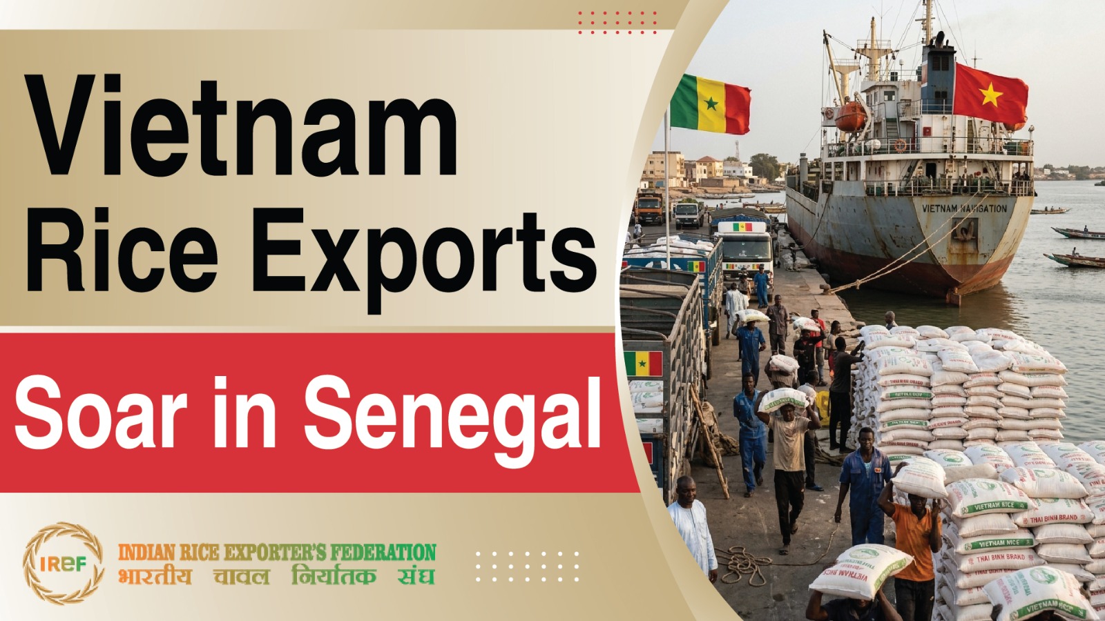 Vietnam Rice Exports Take Flight: Senegal Emerges as a Key Growth Market
