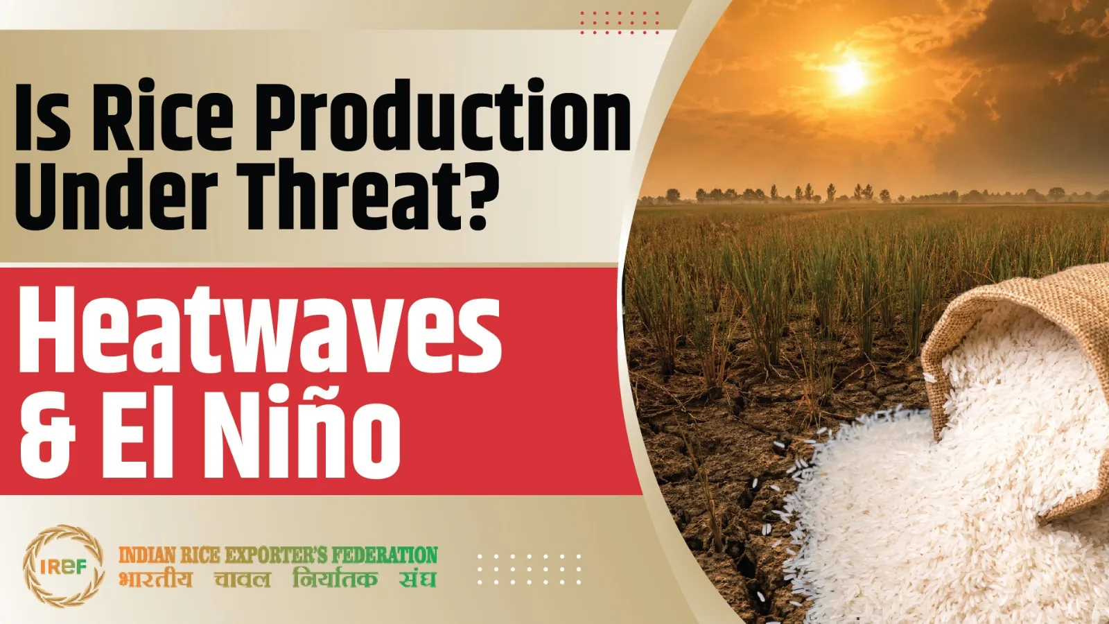 Who’s Threatening India’s Rice Production? Heatwaves & El Niño?