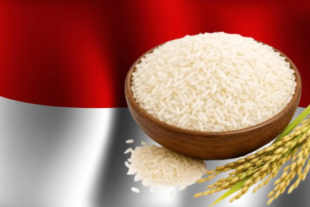 Why Indonesia Plans More Rice Without Clearing Forests?