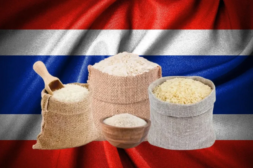 Why Did Thai Rice Exports Decline?