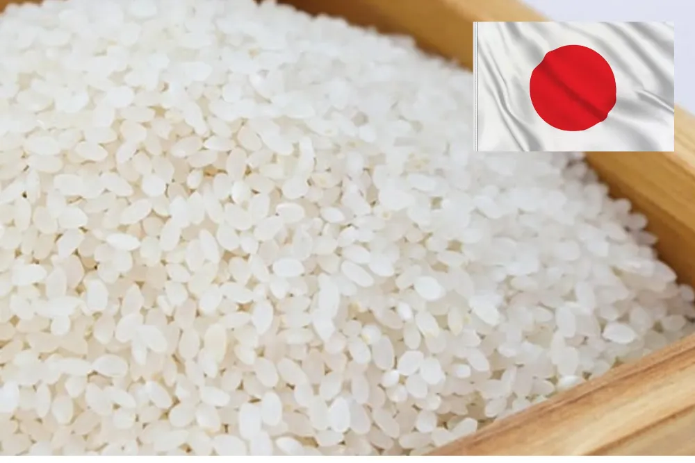 Why Do Japan Rice Prices Drop Below ¥3,000?