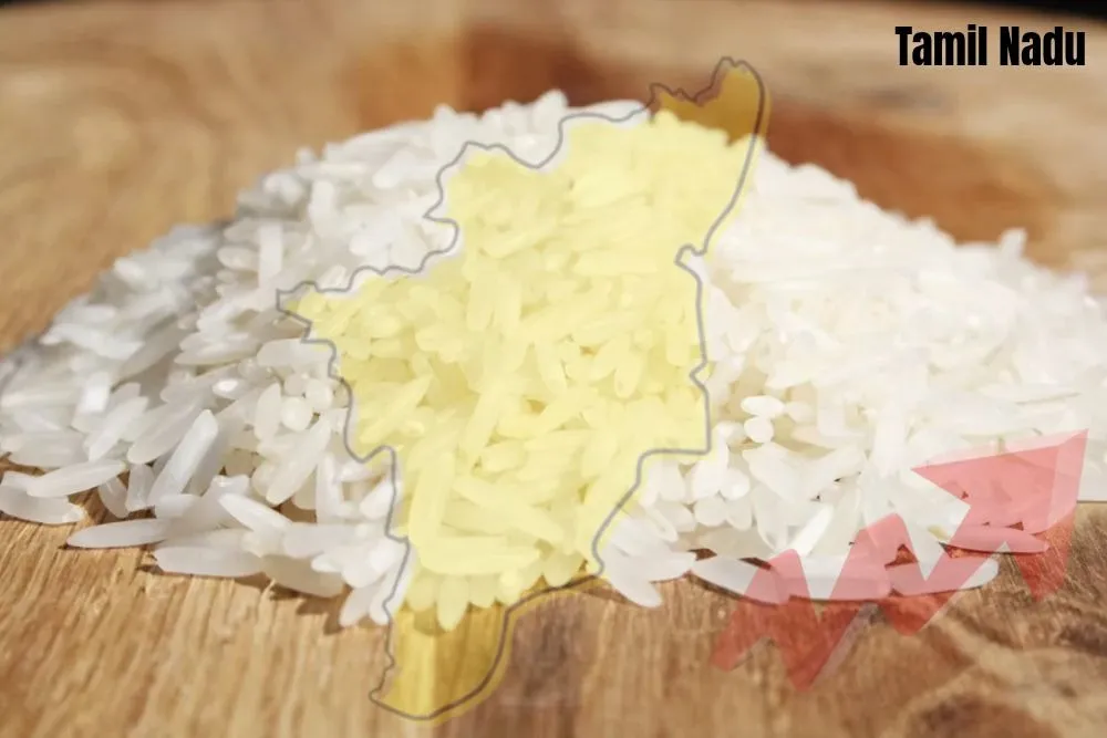 Why Rice Prices Rise Sharply in Tamil Nadu